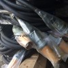 Штепсель с кабелем КПСРЭ сечением 95 мм2, длиной 3,75 м, Э018.01.000 Л1.0095.03.00.000-01 - gdzp.ru - Екатеринбург